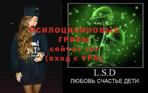 сатива Абинск