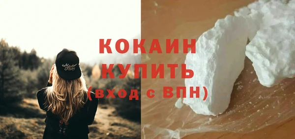 ПСИЛОЦИБИНОВЫЕ ГРИБЫ Коряжма