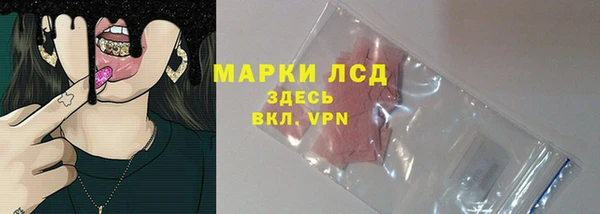 PSILOCYBIN Абаза