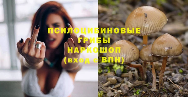 PSILOCYBIN Абаза