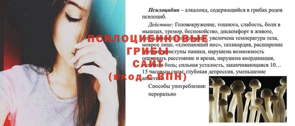 сатива Абинск