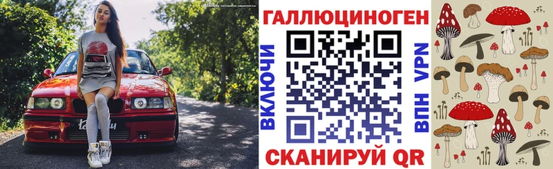 Псилоцибиновые грибы Psilocybine cubensis Абаза