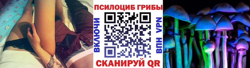 Галлюциногенные грибы Cubensis  блэк спрут маркетплейс  Абаза  наркотики 